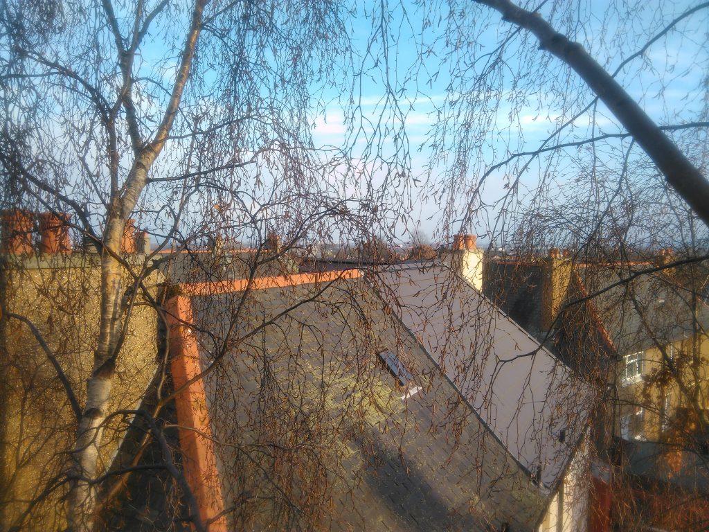 Land of the silver birch Colonel Sponsz's Shared Items